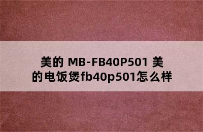 电饭煲推荐-Midea/美的 MB-FB40P501 美的电饭煲fb40p501怎么样